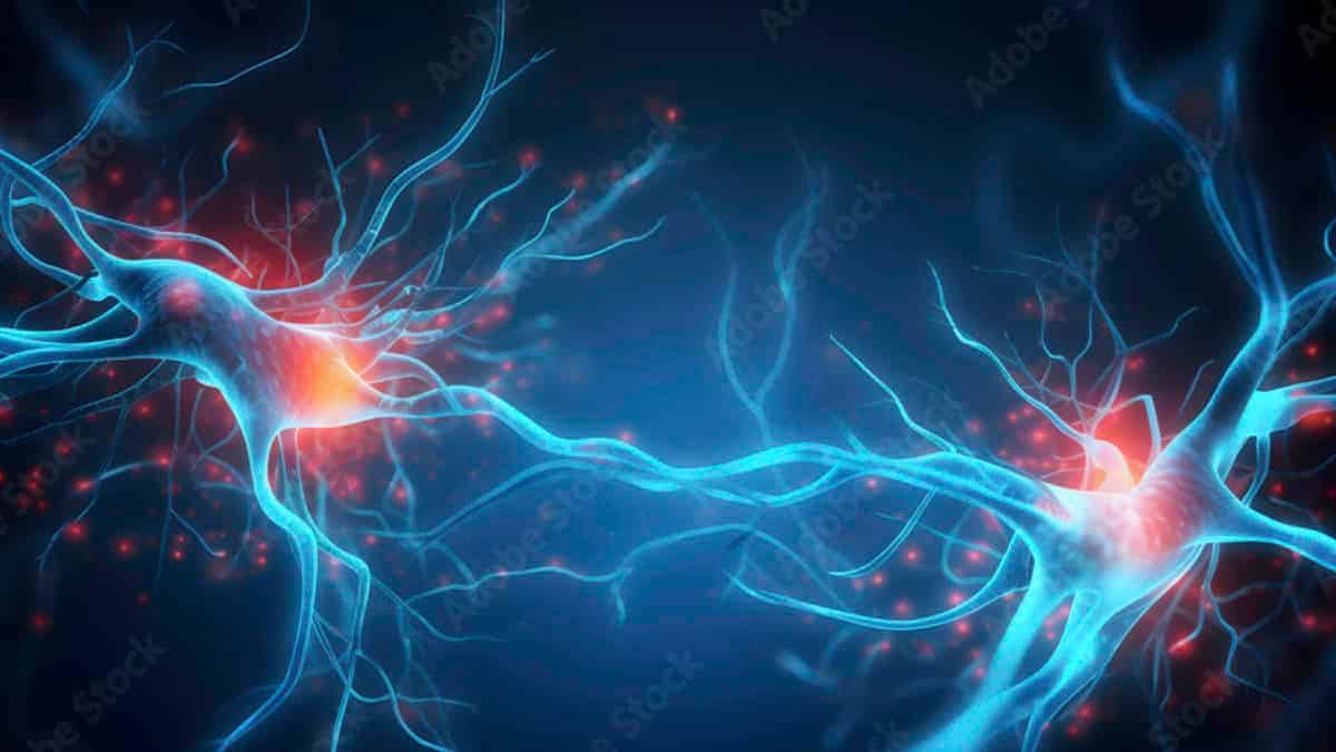 New Study Suggests Tinnitus Is Linked to Synaptic Changes in the Brain