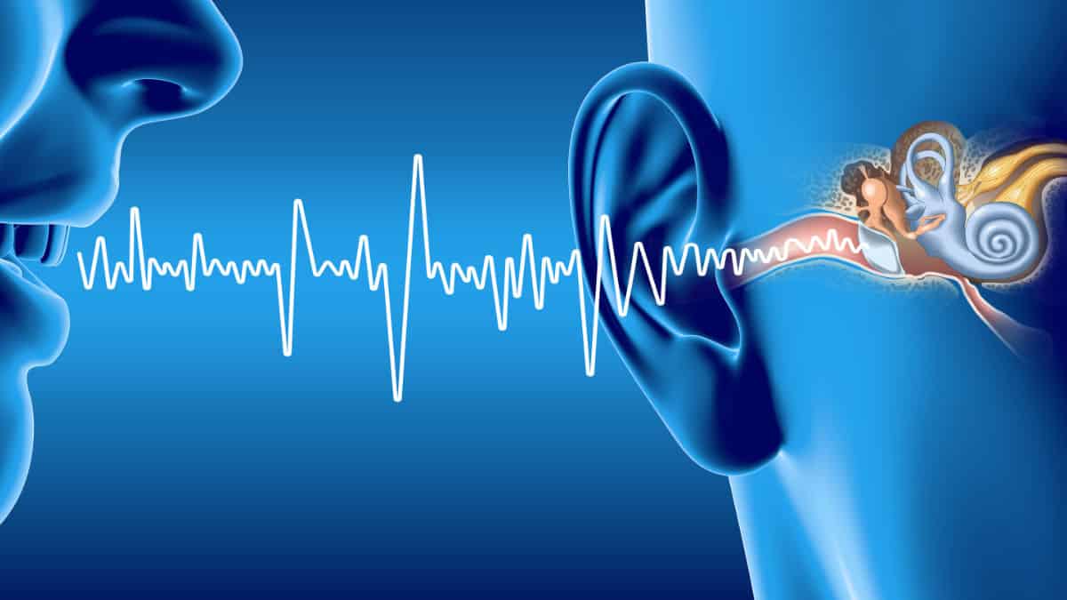Hearing Speech Cochlea Research