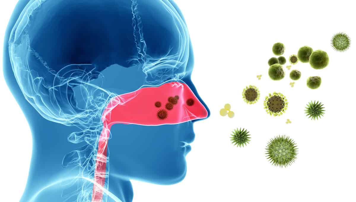 Cold Allergies Hearing Loss