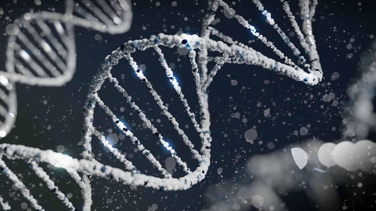 Genetics 1200 X 675