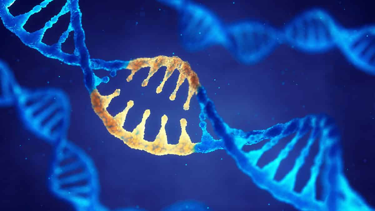 Otosclerosis Gene