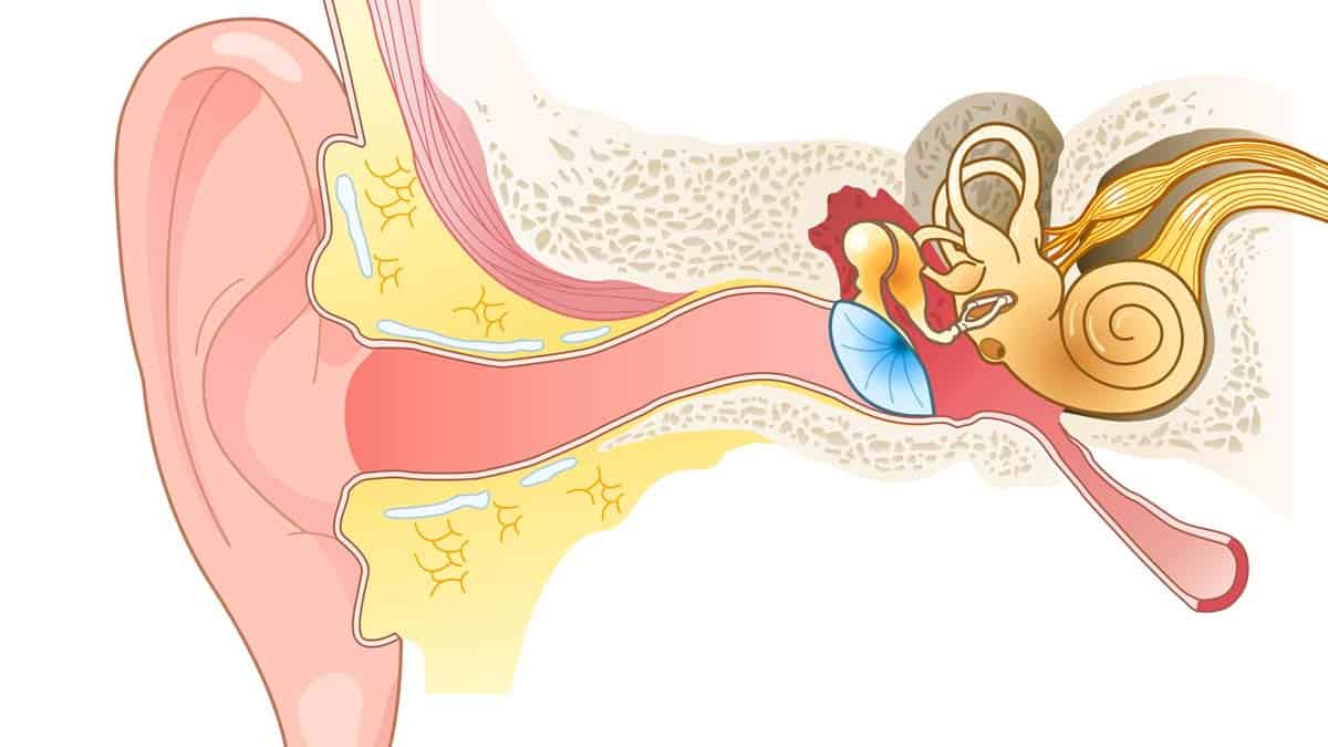 Mixed Hearing Loss